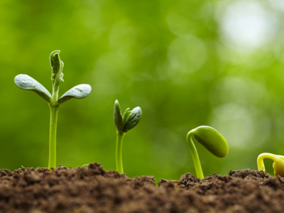 Tri des déchets : Quels emballages sont recyclables ? 